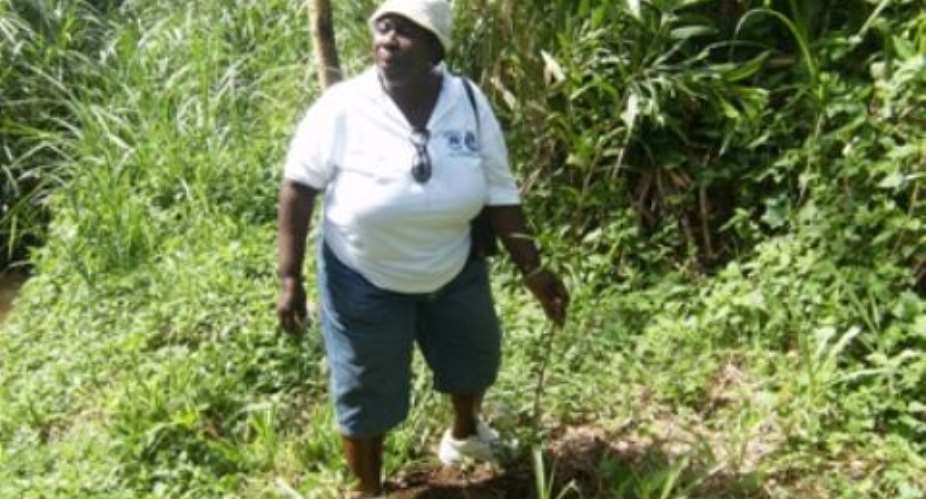 Chief Commissioner
